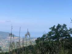 Foto Agricolo in Via Giuseppe Garibaldi
