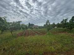 Foto Agricolo in Via Monsignor Azio Davoli