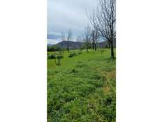 Foto Agricolo in Via Nazario Sauro