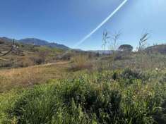 Foto Agricolo in Via Recco