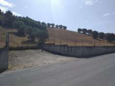 Foto Agricolo in Via Salvatoretto