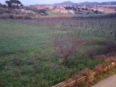 Foto Agricolo in Via San Matteo