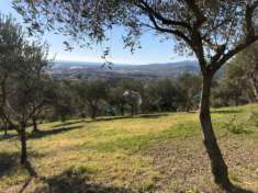 Foto Agricolo in Via San Nicola
