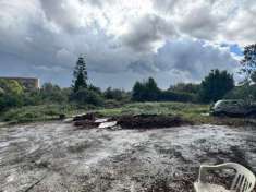 Foto Agricolo in Via Silvestro De Nardis