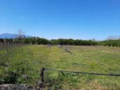 Foto Agricolo in Via Siscara