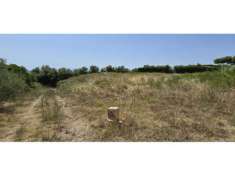 Foto Agricolo in Via Valle Carbone