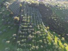 Foto Agricolo in Via Vetosa