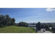 Foto Agricolo in Viale del Lavoro