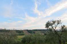 Foto AGRITURISMO - San Gimignano -