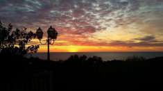 Foto Alassio, terreno con progetto approvato per villa.