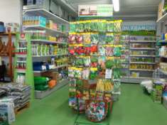 Foto Alimentari No Somministrazione in vendita a Viareggio