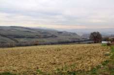 Foto Allerona - Vendesi terreno edificabile di 1 ha