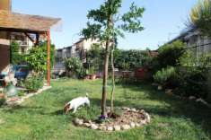 Foto Allerona (Scalo) - Vendesi appartamento in perfette condizioni con giardino