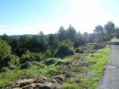 Foto Altro in Vendita a Badia Calavena Badia Calavena
