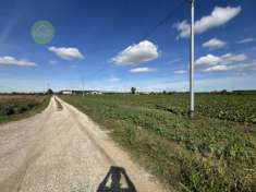 Foto Altro in Vendita a Bevilacqua Bevilacqua