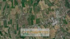 Foto Altro in Vendita a Sanguinetto