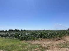 Foto Altro in Vendita a Sommacampagna Sommacampagna