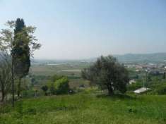 Foto Altro in Vendita a Tregnago