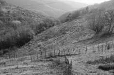Foto Altro in Vendita a Tregnago Tregnago