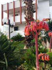 Foto AMPIA VILLA CON GIARDINO PRIVATO VIA VELA BARI
