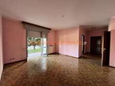Foto Ampio 3 Locali con Box, Cantina e Balconate  Libero Subito