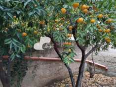 Foto AMPIO LOCALE