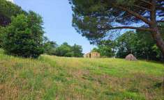Foto Annesso agricolo in Vendita, 1 Locale, 15 mq (CASTELLINA MARITTI