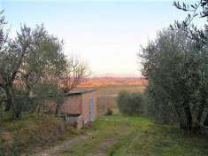 Foto Annesso agricolo in Vendita, 1 Locale, 5348 mq (FOIANO DELLA CHI