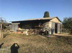 Foto Annesso agricolo in Vendita, 1 Locale, 70 mq (CASTIGLIONE DEL LA