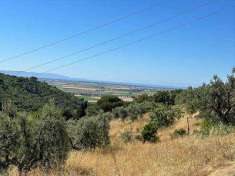 Foto Annesso agricolo in Vendita, 3 Locali, 45 mq (CAMPIGLIA MARITTIM