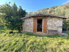 Foto Annesso agricolo in vendita a Calci 3300 mq  Rif: 1389165