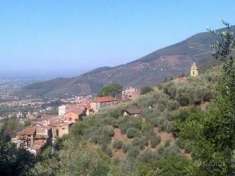 Foto Annesso agricolo in vendita a Calci 40 mq  Rif: 950663