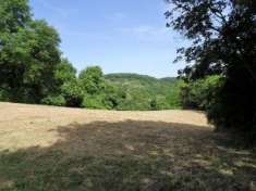Foto Annesso agricolo in vendita a Poggibonsi 25000 mq  Rif: 1292359