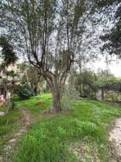 Foto Appartamento - Palermo . Rif.: Cod. rif CPT143VRG