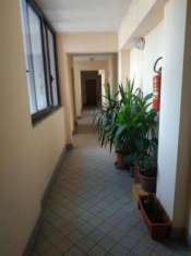 Foto Appartamento 1 locale - Rif. 150