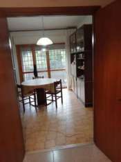 Foto Appartamento Albano Laziale zona musicisti