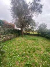 Foto Appartamento con giardino e taverna
