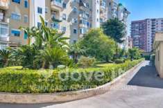 Foto Appartamento di 121 m con 4 locali in vendita a Palermo [rif. DV-10589]