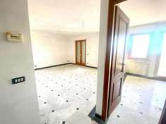 Foto Appartamento in affitto a Marina di Carrara - Carrara 140 mq  Rif: 1188349
