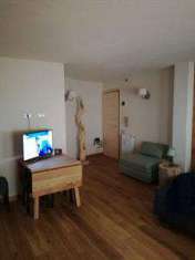 Foto Appartamento in Vendita, 1 Locale, 35 mq (LIMONE PIEMONTE)