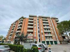 Foto Appartamento in Vendita, 2 Locali, 44 mq (Pisa)