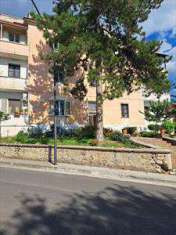 Foto Appartamento in Vendita, 2 Locali, 65 mq (Cervaro)