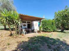 Foto Appartamento in Vendita, 2 Locali, 65 mq (Vasanello)