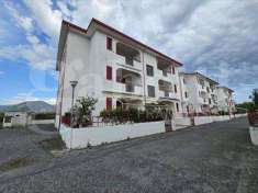 Foto Appartamento in Vendita, 3 Locali, 55 mq (Santa Maria del Cedro)