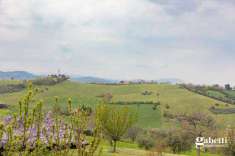 Foto Appartamento in Vendita, 3 Locali, 75 mq (Gradara)