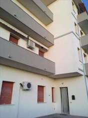 Foto Appartamento in Vendita, 3 Locali, 75 mq (Trecenta   Centro)