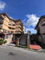 Foto APPARTAMENTO in Vendita, pi di 6 Locali, 174 mq, PITIGLIANO