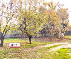 Foto Appartamento in vendita a Avezzano