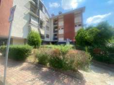 Foto Appartamento in vendita a Beinasco