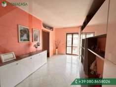 Foto Appartamento in vendita a Bitetto